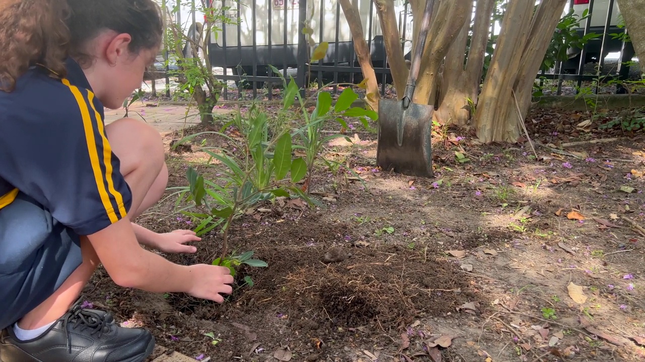 犹太女孩在图比什瓦特犹太节日在花园里种了一棵新树视频下载
