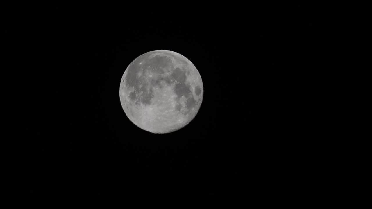 壮观的狼月，2024年1月在英国赫特福德希思看到的第一个满月。视频下载