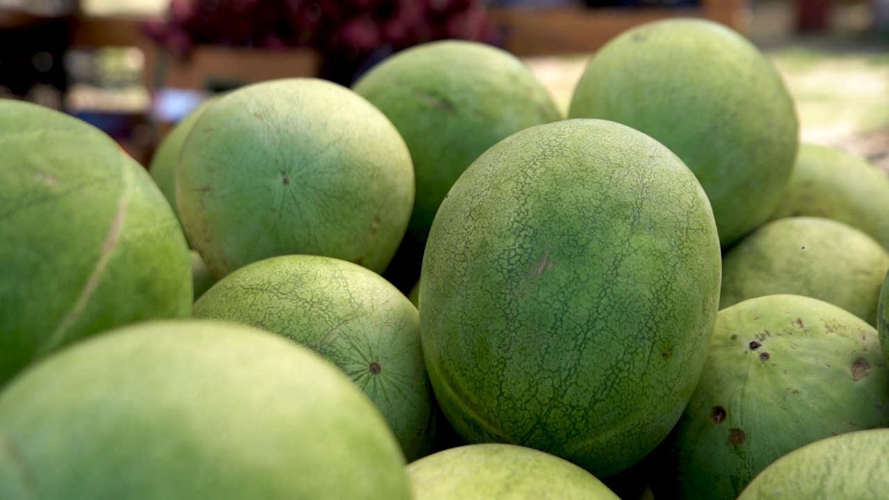 新鲜和成熟的西瓜很接近。在农贸市场出售西瓜。特写镜头视频下载