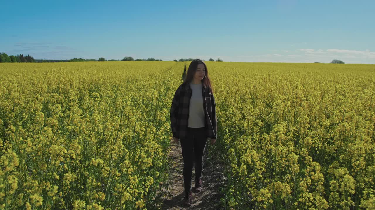 女性走在黄色开花的油菜地视频下载