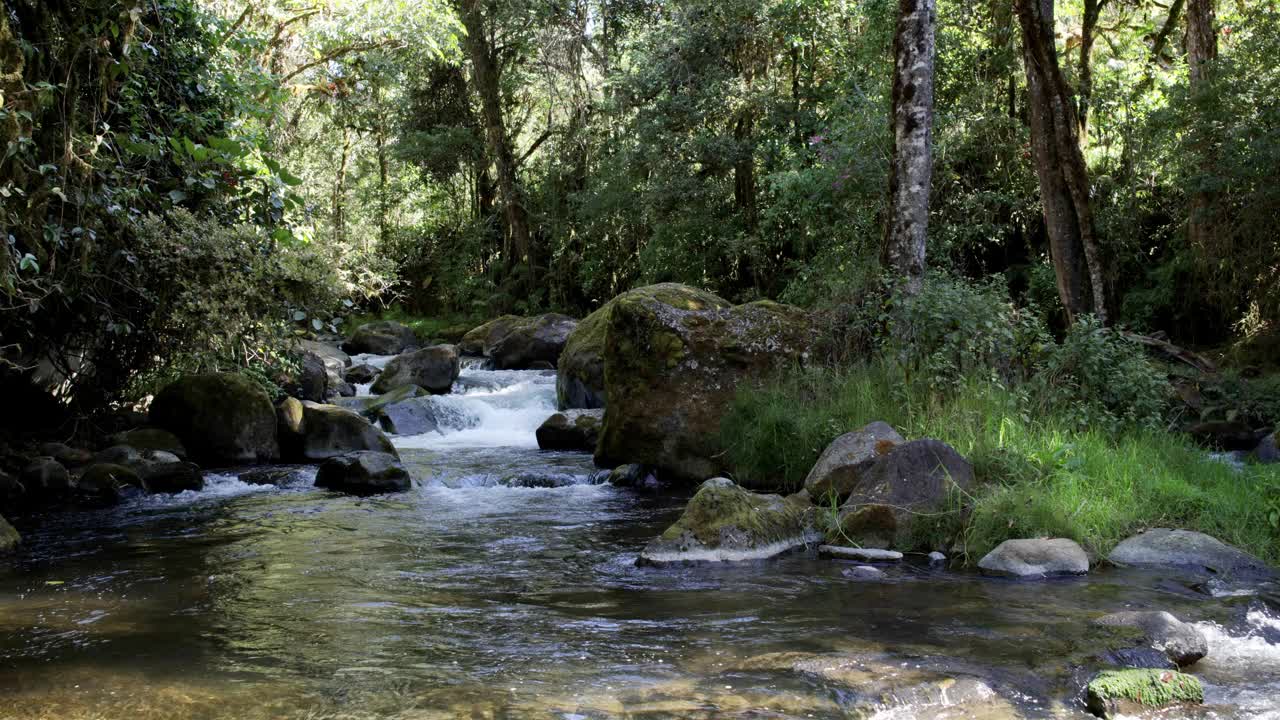 自然溪流，国家公园洛斯克萨莱斯，哥斯达黎加视频下载