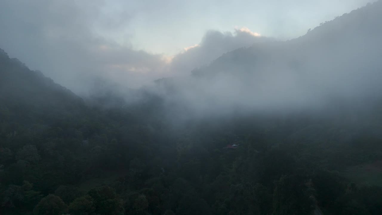 哥斯达黎加尼科亚半岛的热带雨林视频下载