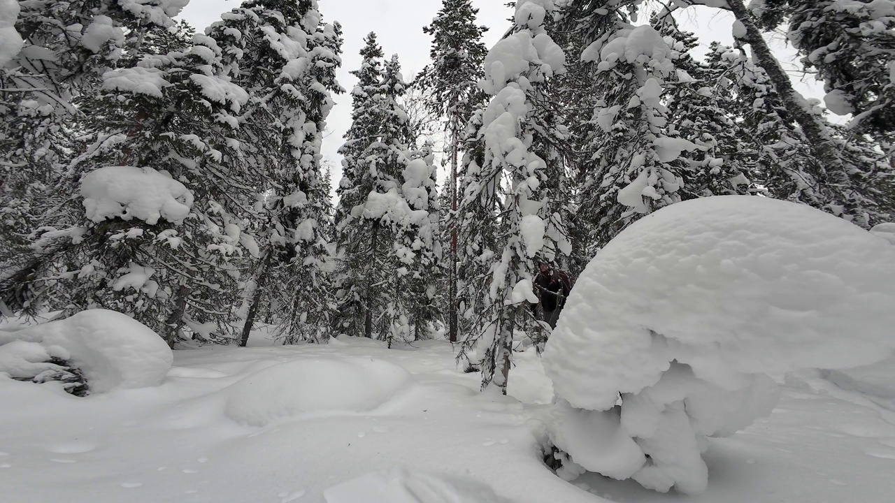 冬季运动中的一个人正在森林里滑雪。有很多雪堆视频下载