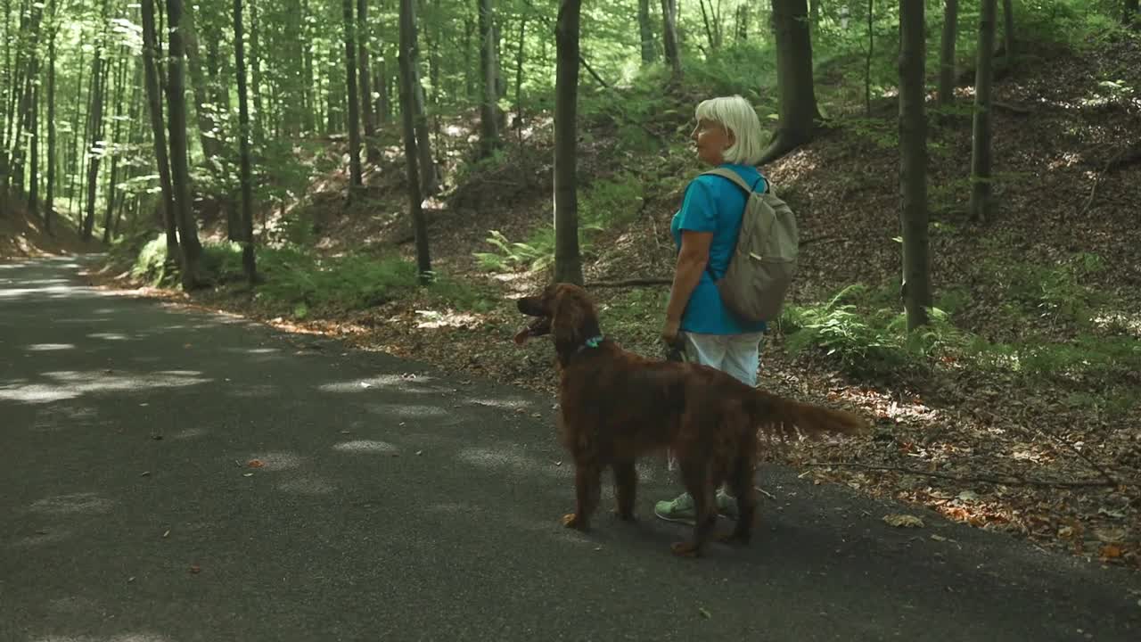 一个女孩和她的狗在绿色的森林里散步的背影。落叶树木的绿色森林全景图，阳光透过树叶过滤光线视频素材