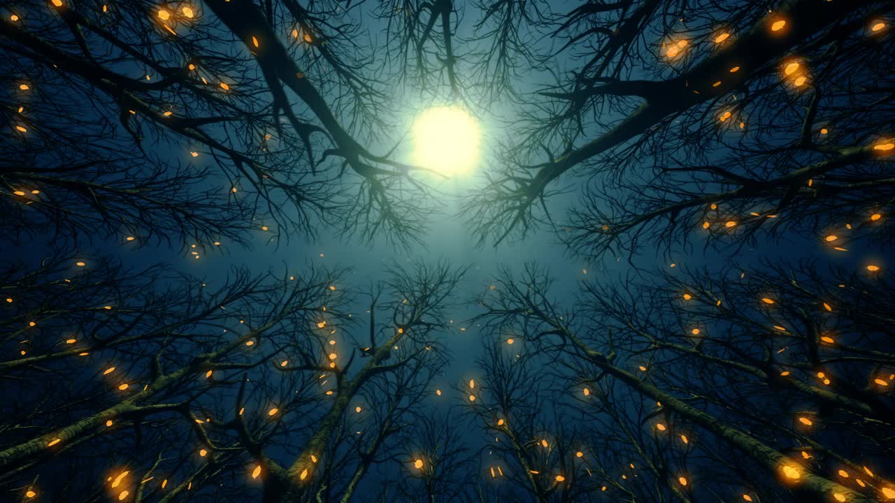 月光照亮了秋天森林里的落叶视频下载