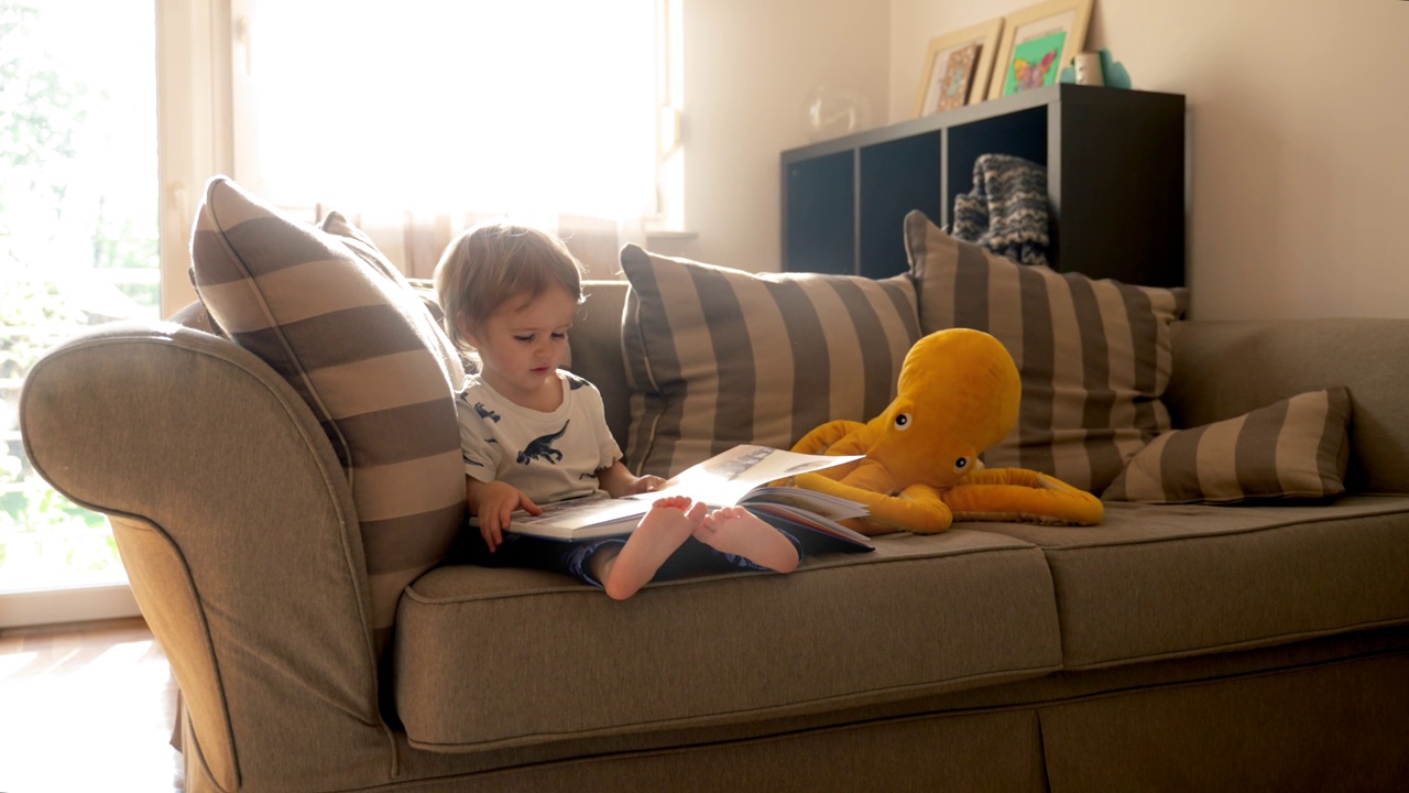 小男孩在沙发上看书视频素材
