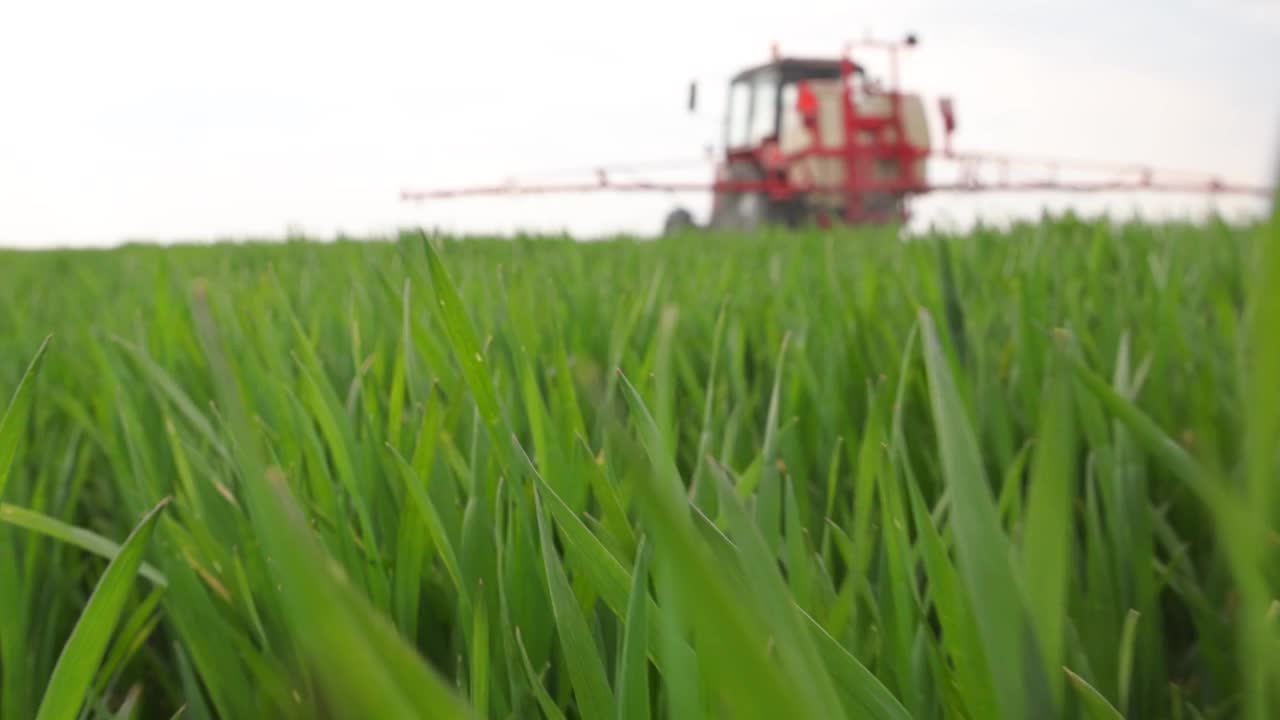 喷雾器在麦田里喷洒农药，慢镜头视频下载