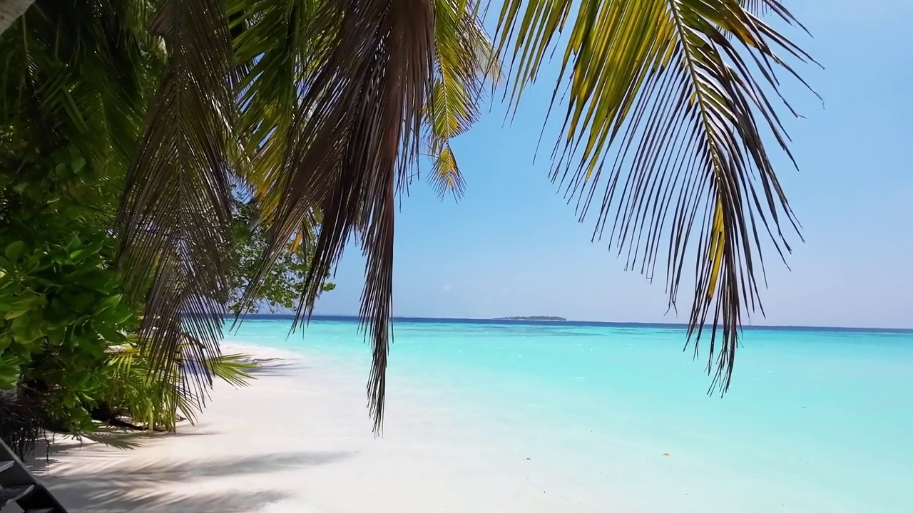 低角度的热带海滩，棕榈树和清澈的绿松石海洋视频下载
