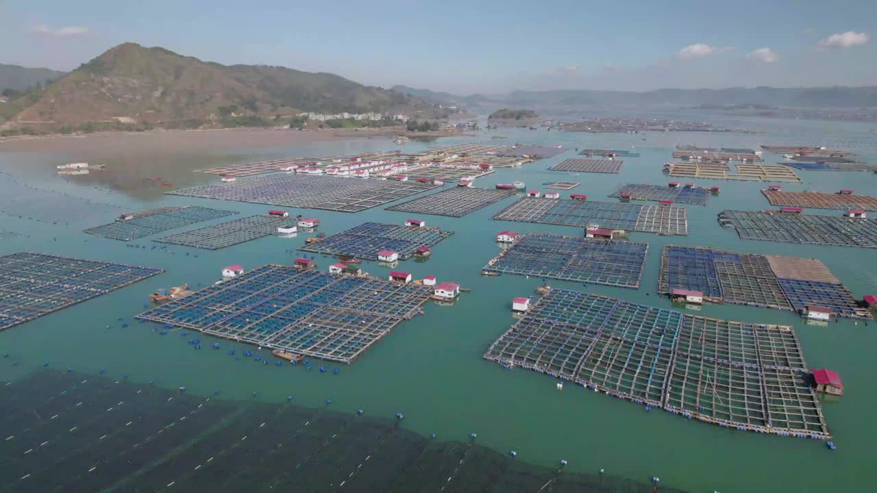 无人机航拍的中国福建省下浦海鱼养殖场网箱和渔村。视频下载