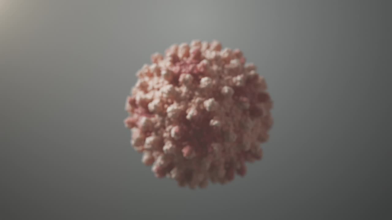 乙型肝炎病毒的生物组装。视频下载