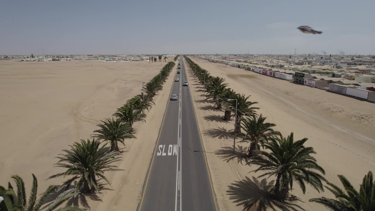 沙漠中央的柏油路两旁种着棕榈树视频下载