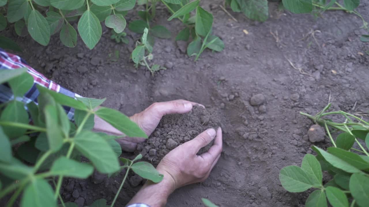 男性的手在农田里接触干燥的土地的特写，土壤，耕地，泥土视频下载