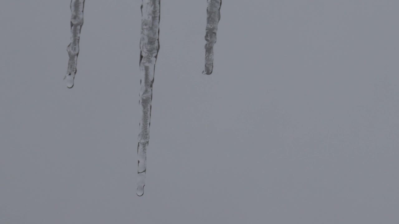 冰柱的特写与水滴。融化的冰柱。巨大的冰柱视频素材