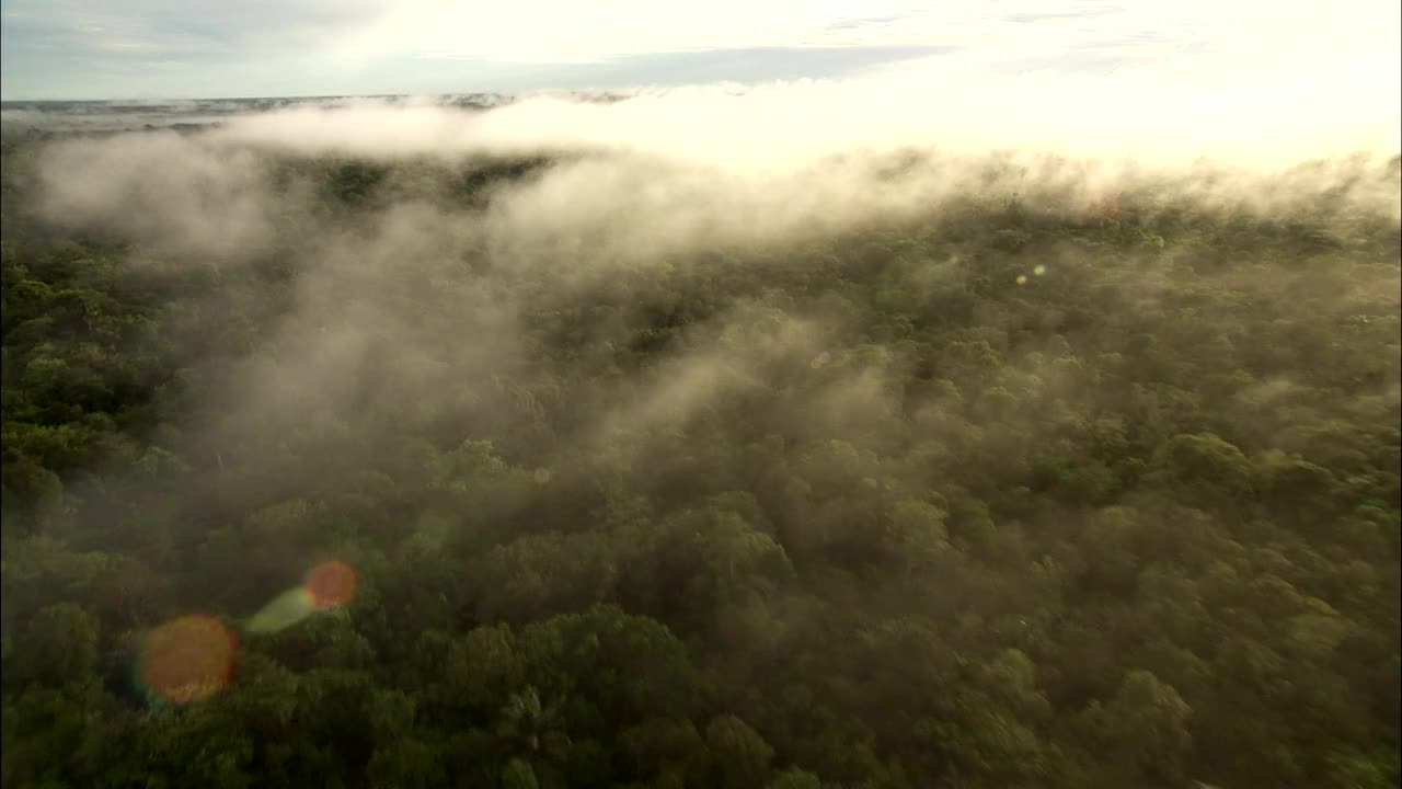 阳光透过笼罩在亚马逊雨林上的雾燃烧。高清。视频下载