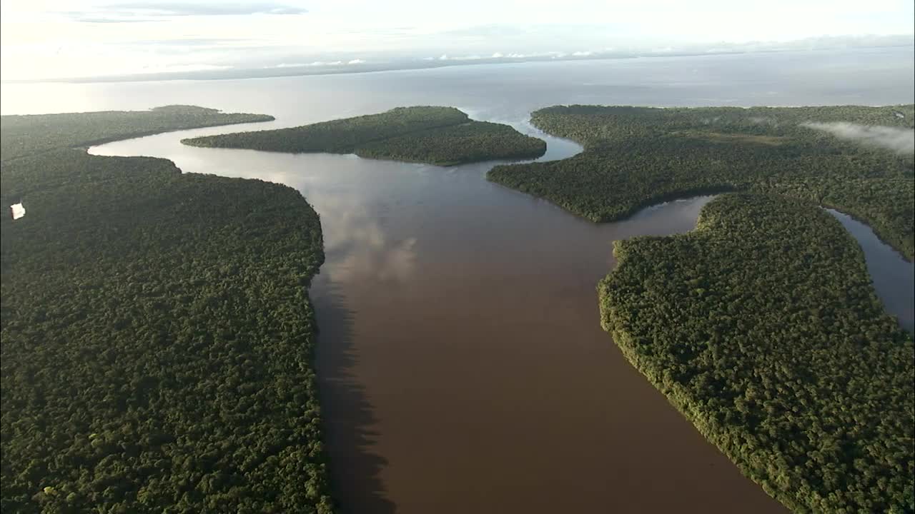 这条河在亚马逊雨林的边缘入海。高清。视频下载