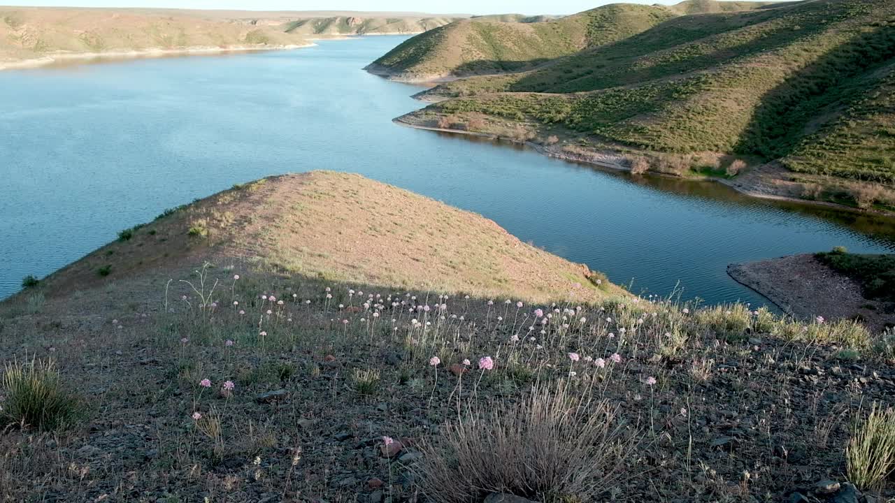 春天的草原湖，野花盛开。哈萨克斯坦阿拉木图的库尔蒂水库视频下载
