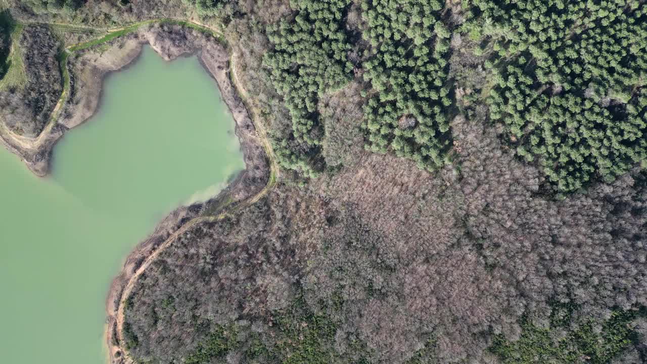 一个覆盖着松树林的大坝的俯视图。视频下载