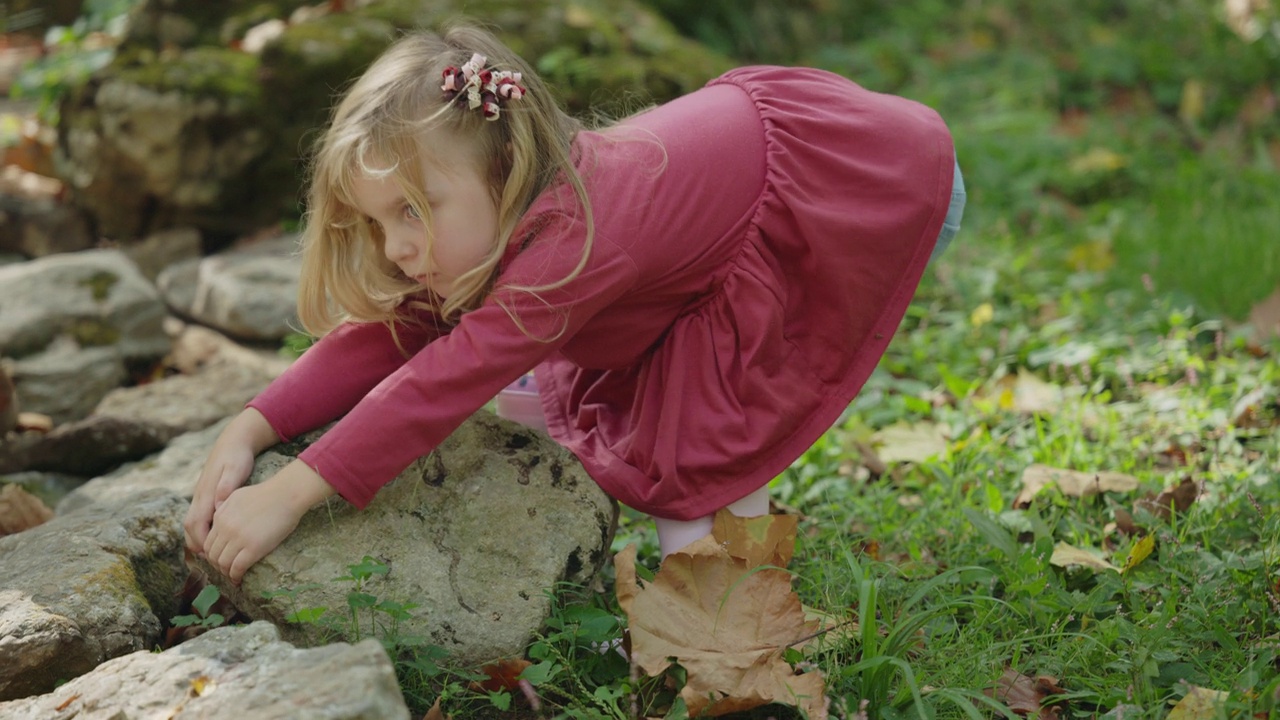 好奇的女孩在岩石下寻找和指指点点/美国肯塔基州Goshen视频下载
