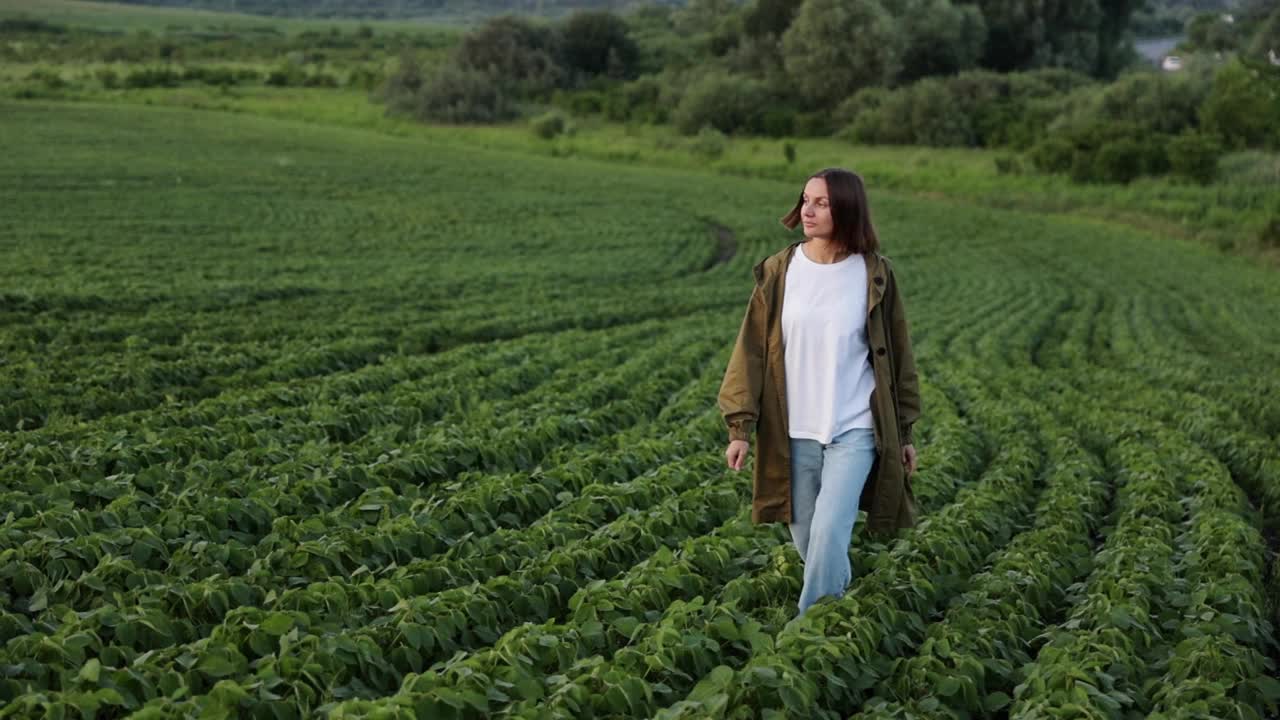 大豆农业综合企业。年轻的女农民带着绿油油的大豆巡视种植园。农艺师控制、检查大豆种植和未来的有机收成。农业耕作概念视频下载