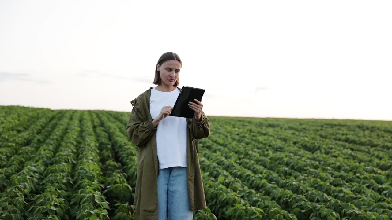 智能种植大豆技术。一位女农民拿着电子平板电脑工作，走过种植着一排排有机大豆绿色植物的田地。农业综合经营与农业现代理念。农场的农学家。视频下载