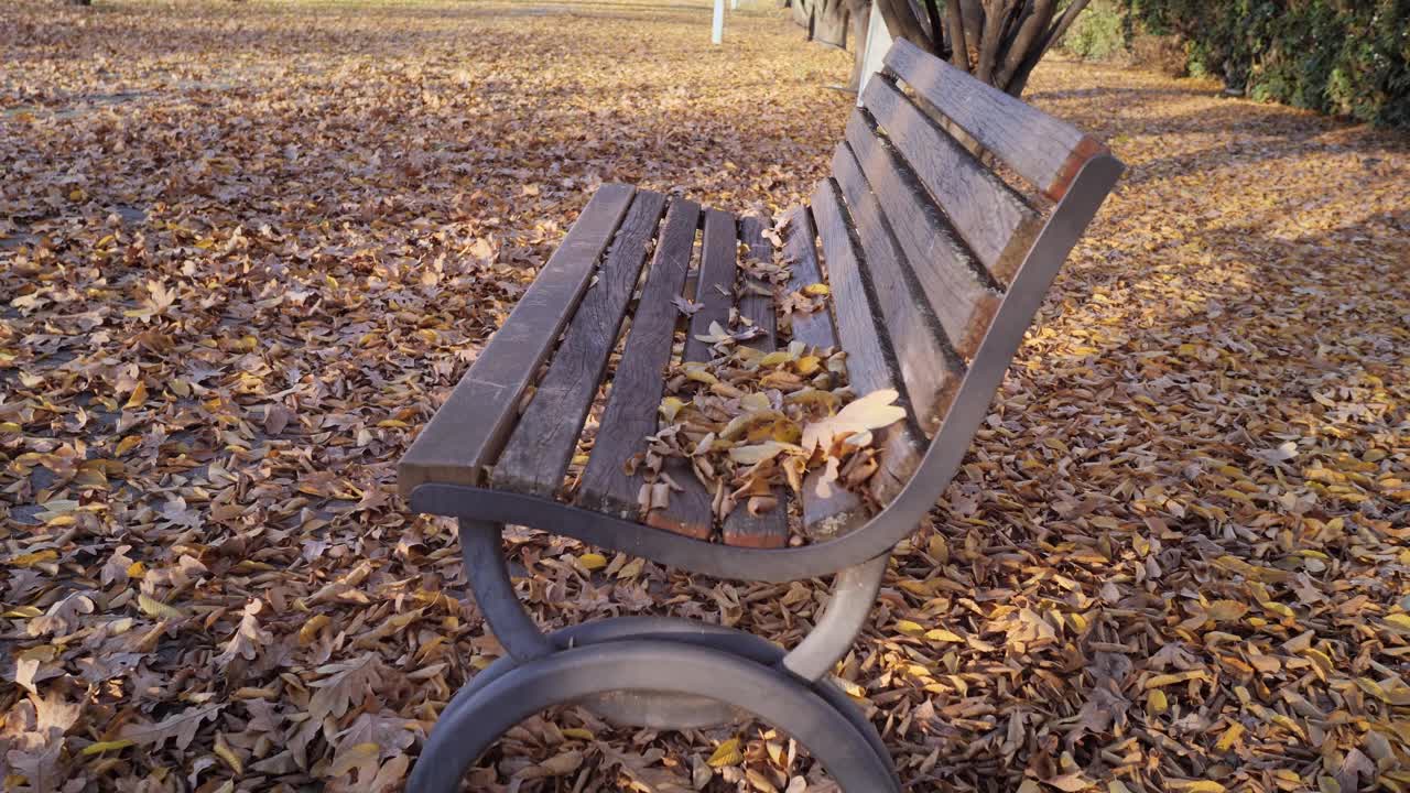 秋天的木凳和长直的人行道，地上有许多黄叶视频下载