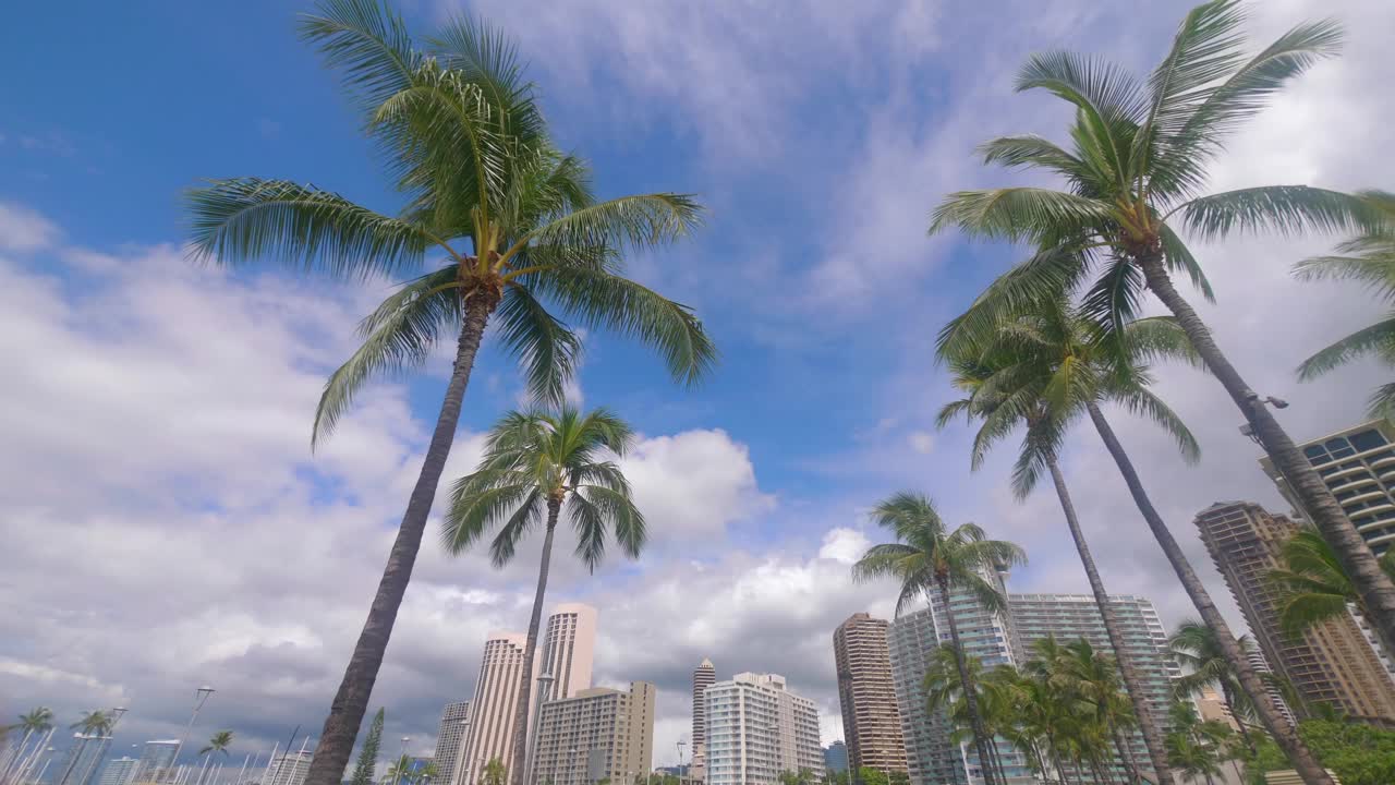 檀香山摩天大楼向上旋转的视角，周围环绕着棕榈树，4k慢动作，每秒60帧视频下载