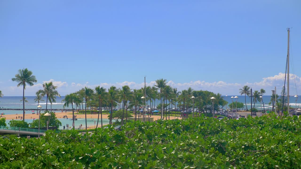 檀香山码头宁静的海滨景色，有船和棕榈树，4k慢动作60fps视频下载