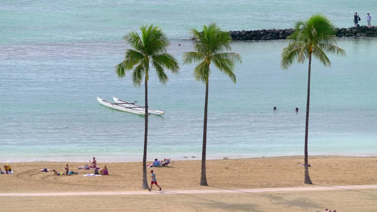 风景秀丽的檀香山海滨与棕榈树和绿松石水在4k慢动作60fps视频下载