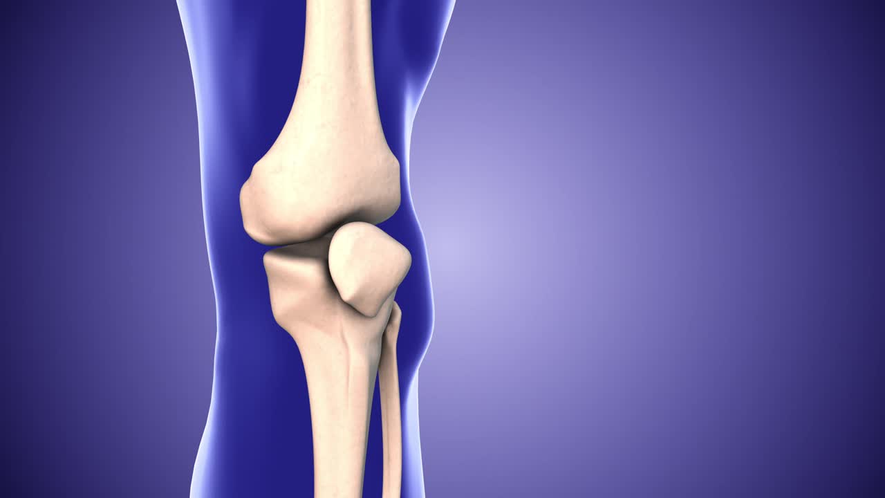 膝关节疼痛和膝关节间隙视频下载