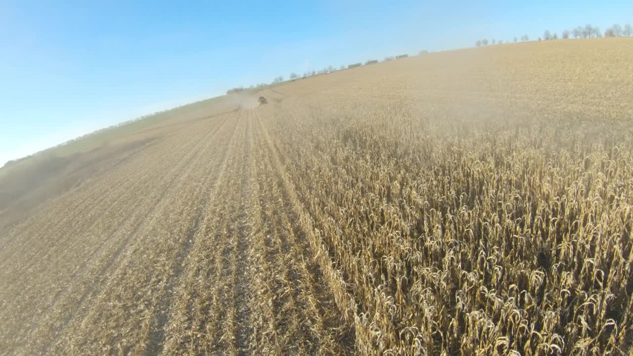 收割玉米或小麦作物的联合收割机俯视图。从收割大麦或玉米秸秆的收割机上空飞过。在农场工作的农业机械。收获的概念。空中拍摄视频素材