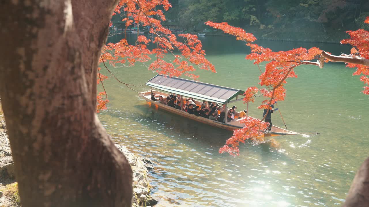 日本京都岚山秋叶林中桂河上的船的4k视频。视频下载