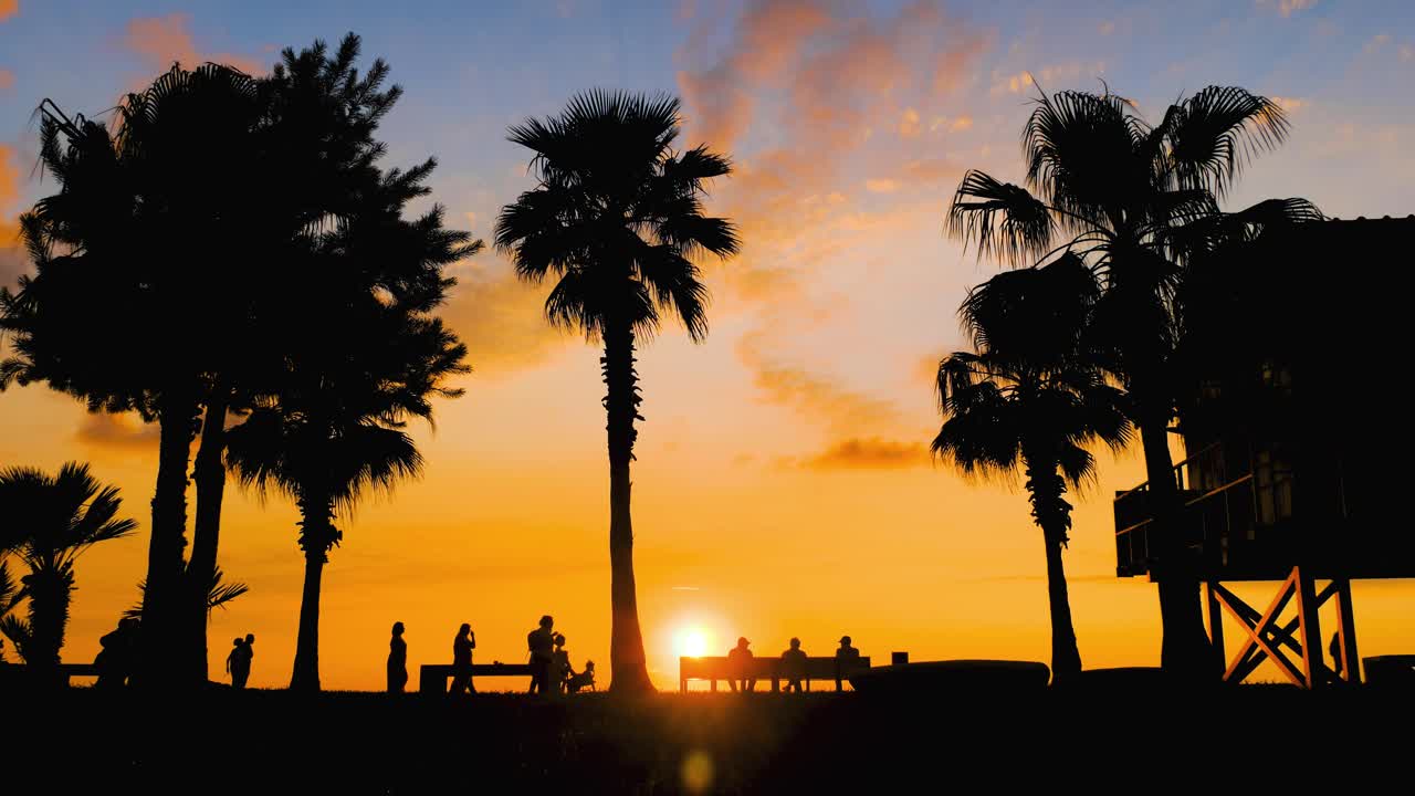 日落时堤岸上棕榈树和行人的剪影视频素材