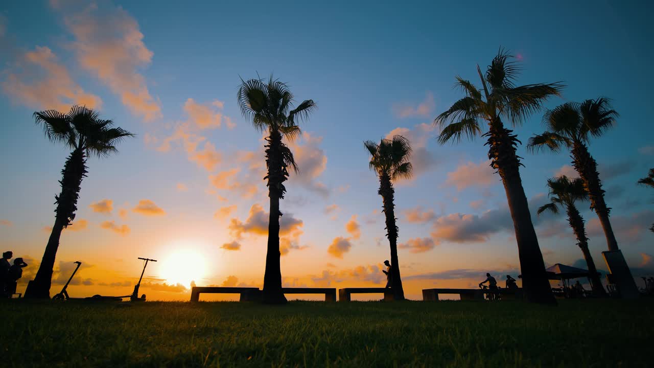 日落时堤岸上棕榈树和行人的剪影视频素材