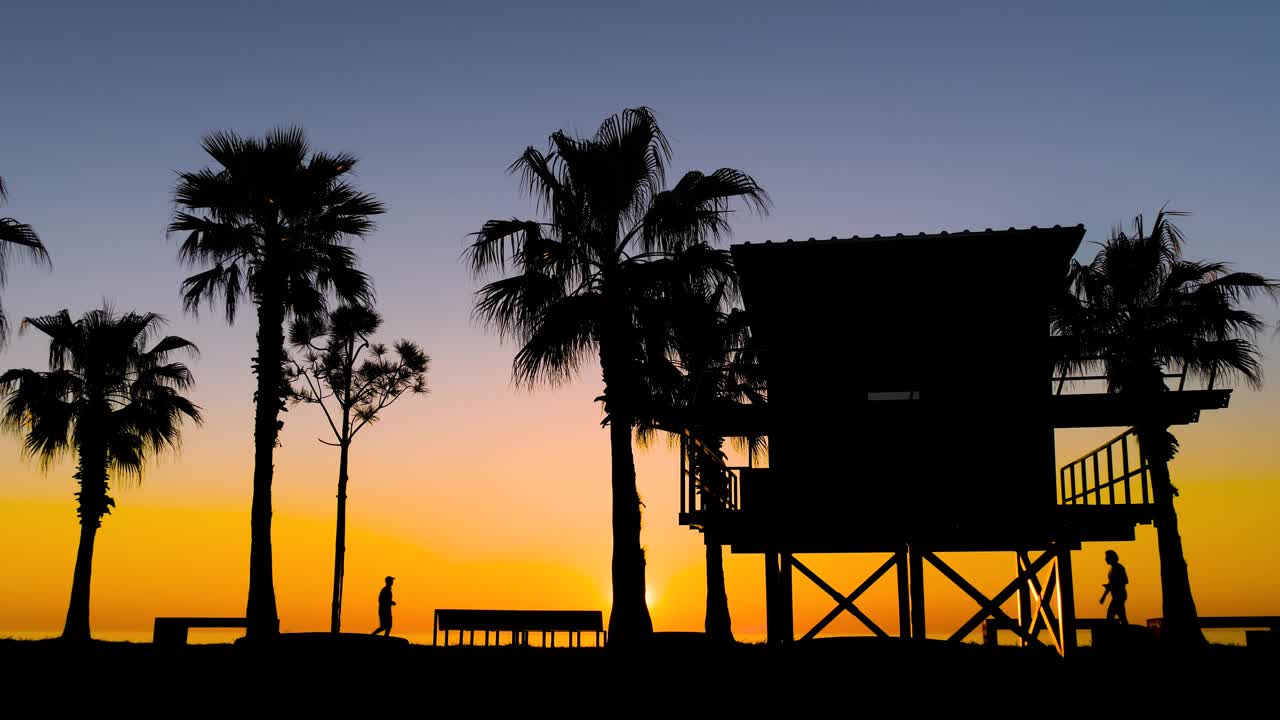 日落后堤岸上棕榈树和行人的剪影视频下载