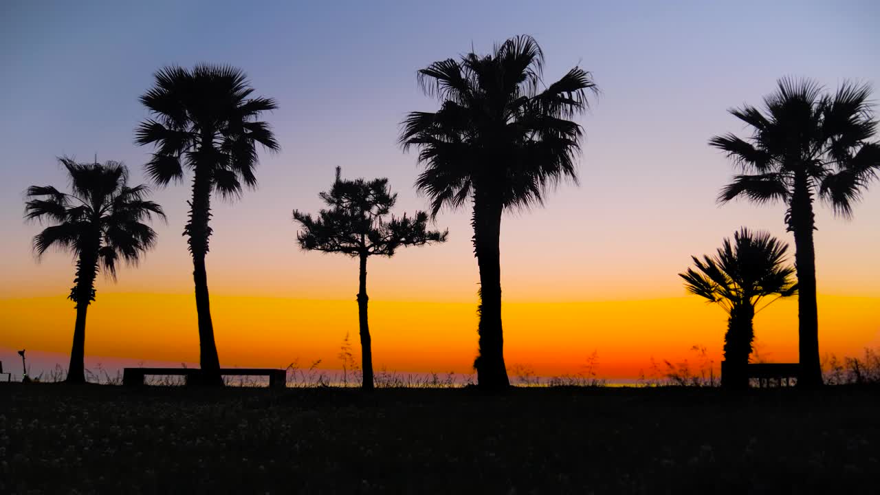 日落后堤岸上棕榈树和行人的剪影视频素材