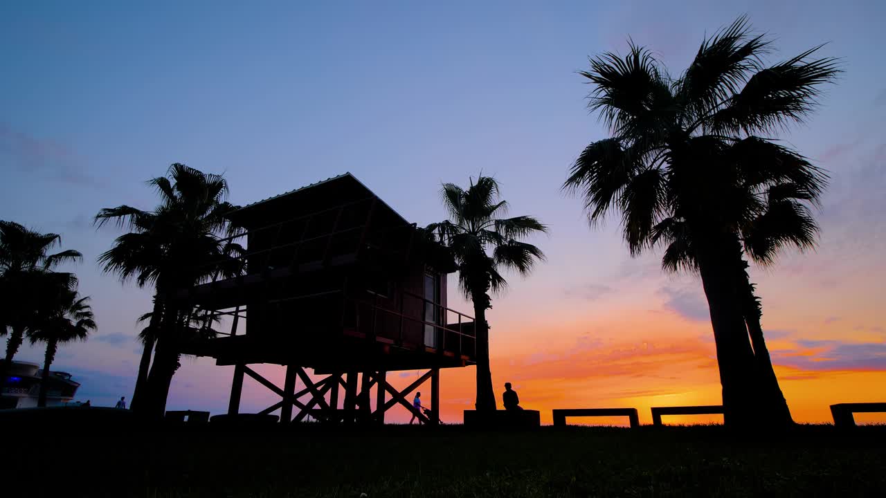 日落后堤岸上棕榈树和行人的剪影视频素材
