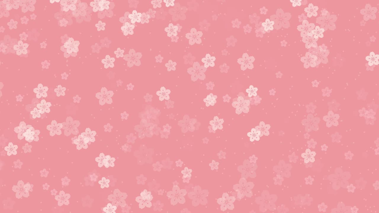 桃红色的背景与飘落的樱花视频下载