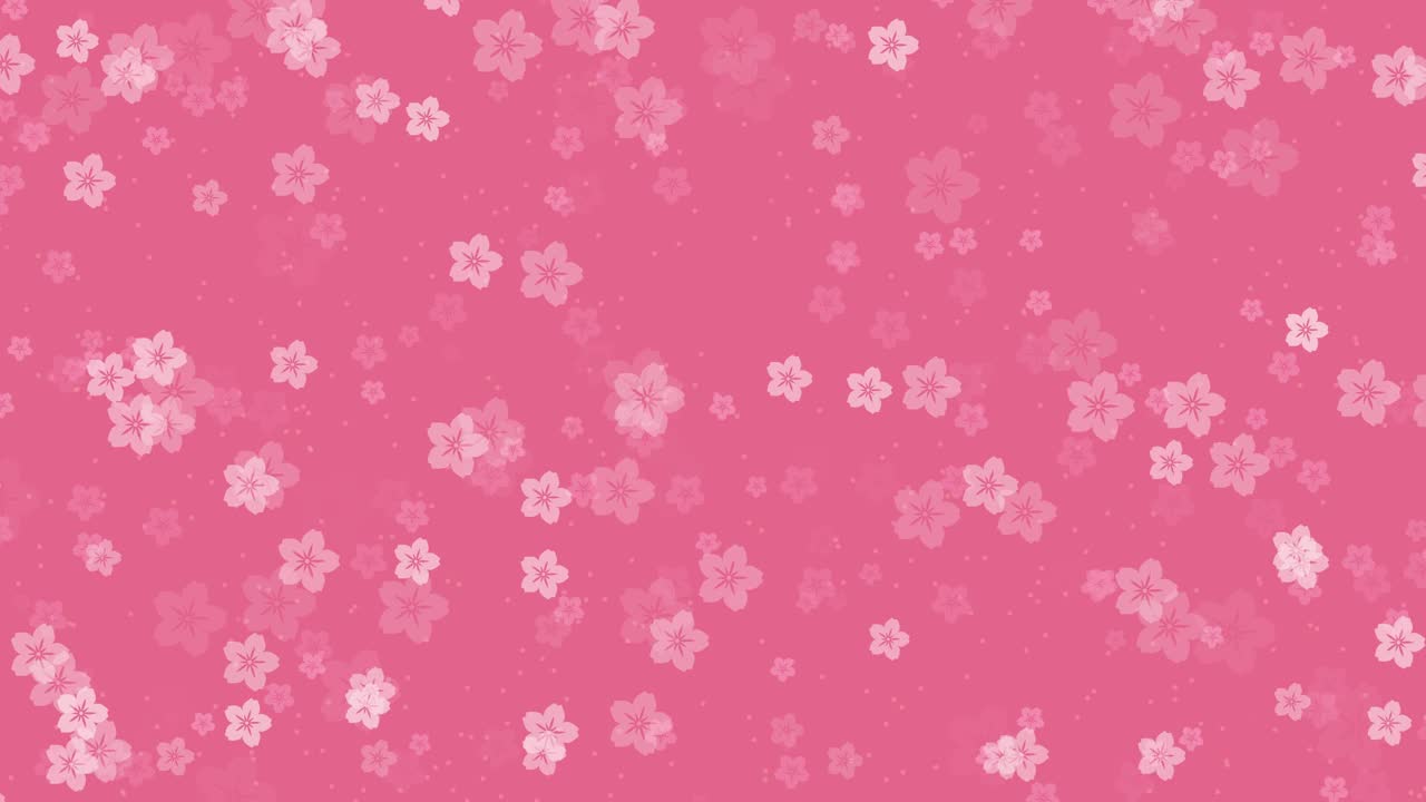 抽象樱花落在粉红色的背景视频素材