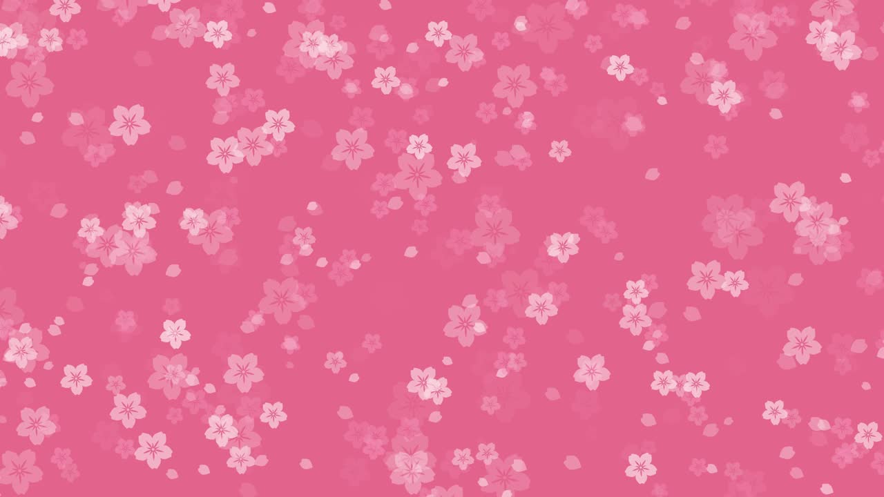 抽象樱花樱花粉红色的背景视频素材