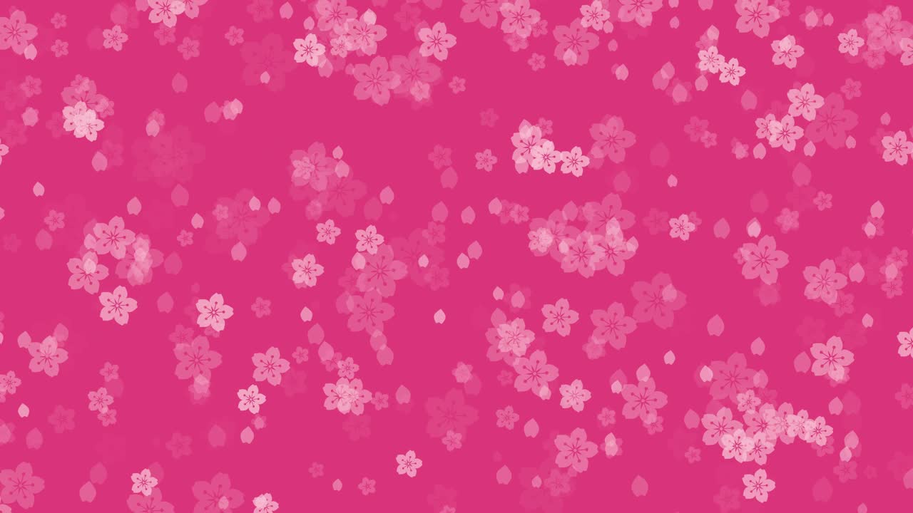 摘要樱花樱花粉红色的背景视频下载