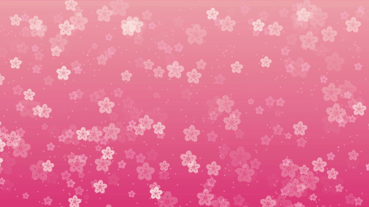 粉红色背景上的东方樱花视频素材