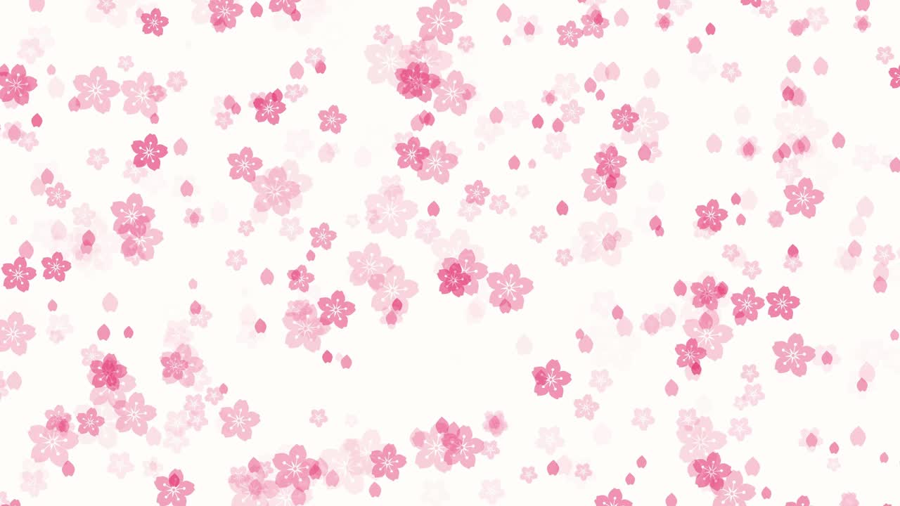 白色背景上的抽象樱花视频下载