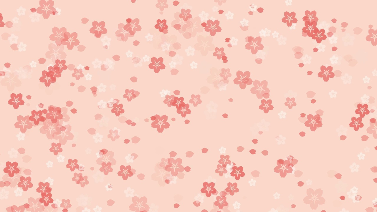 樱花落在桃色的背景上视频素材