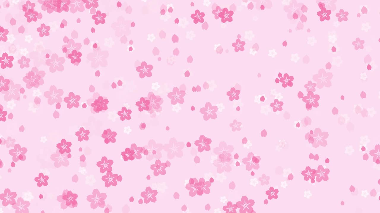 淡粉色背景上抽象的樱花视频素材