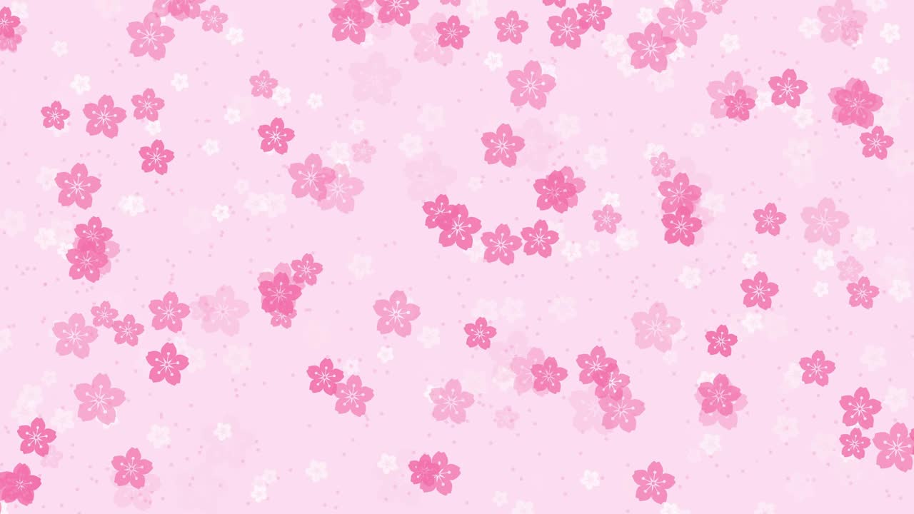 粉红色背景上飘落的樱花视频素材