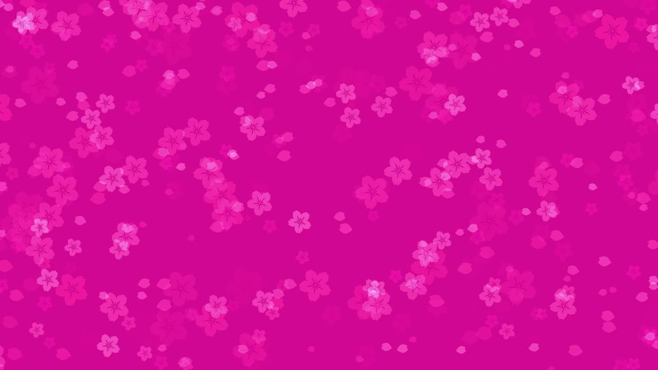 抽象樱花鲜艳的粉红色背景视频下载