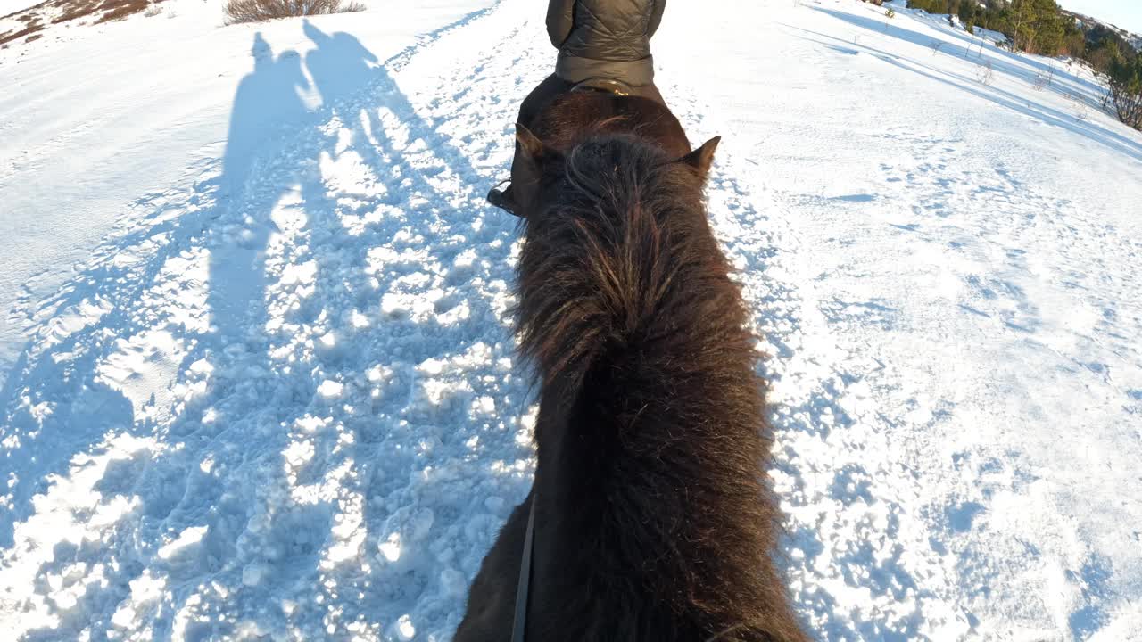 冬天骑着冰岛的马，疾驰而过视频下载