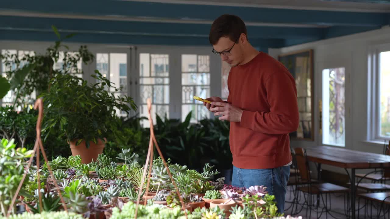 植物爱好者通过制作照片，阅读手机应用程序中的信息来检查花卉名称视频下载