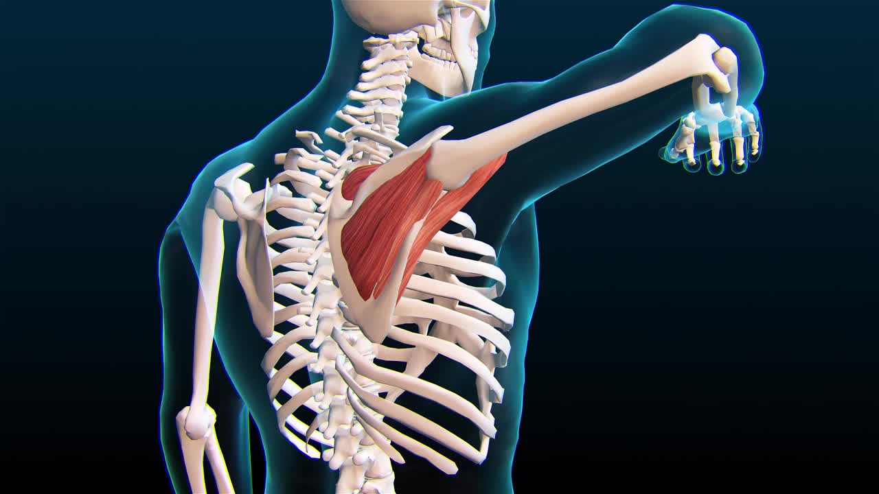 肩膀疼痛的动画。视频下载