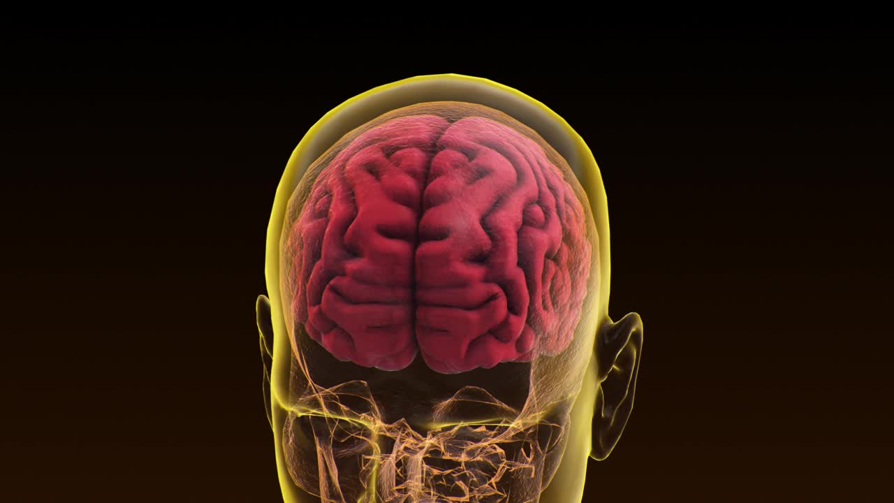 顶视图大脑与阿尔法哑光。神经系统疾病、肿瘤和脑外科视频下载